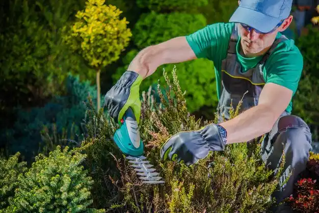 landscaping services Wareham Center